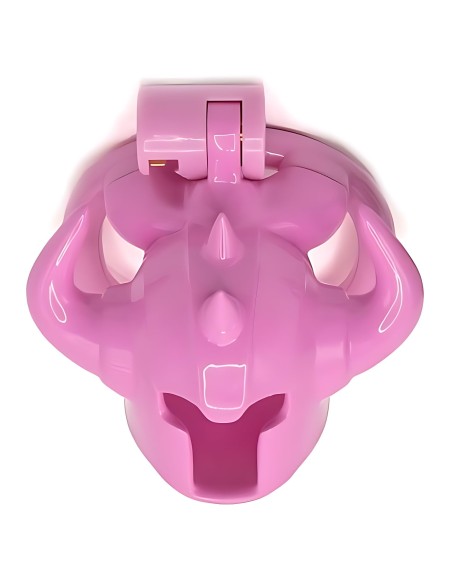 Cage Caskaur 5 x 3 cm Rose