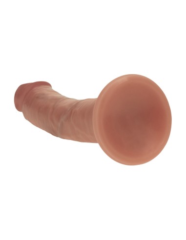 Gode Gregoryo Latino 19 x 4cm