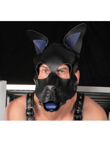 PUPPY SET OREILLES ET LANGUE EN CUIR BLEU