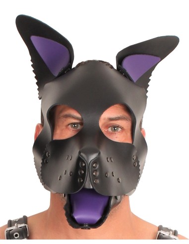PUPPY SET OREILLES ET LANGUE EN CUIR VIOLET