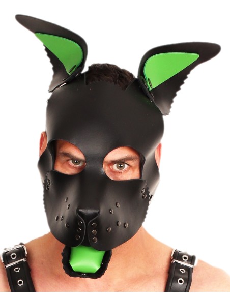 PUPPY SET OREILLES ET LANGUE EN CUIR VERT