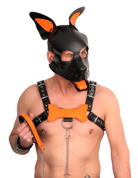 PUPPY SET OREILLES ET LANGUE EN CUIR ORANGE PUPPY SET OREILLES ET LANGUE EN CUIR ORANGE