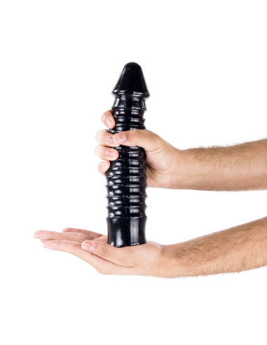 SCALE TO SCALE 24 x 5.8 cm