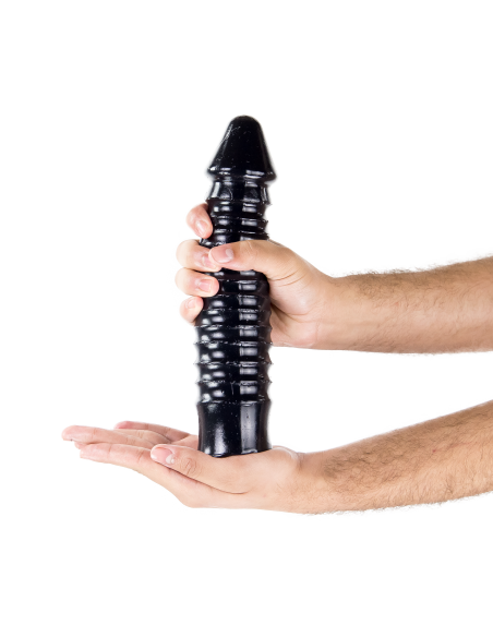 SCALE TO SCALE 24 x 5.8 cm