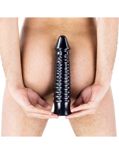 SCALE TO SCALE 24 x 5.8 cm