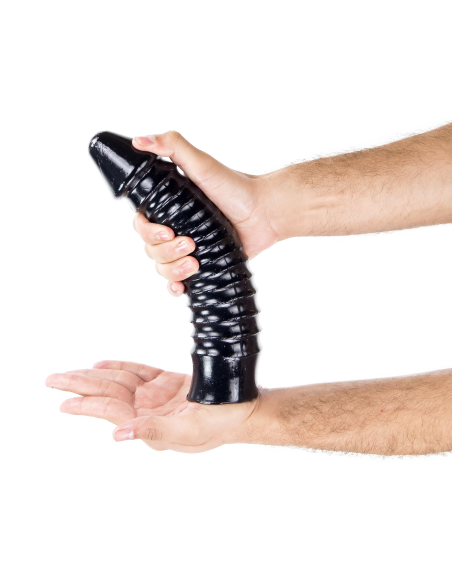 SCALE TO SCALE 24 x 5.8 cm