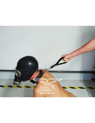 Poignée Dog avec mousqueton