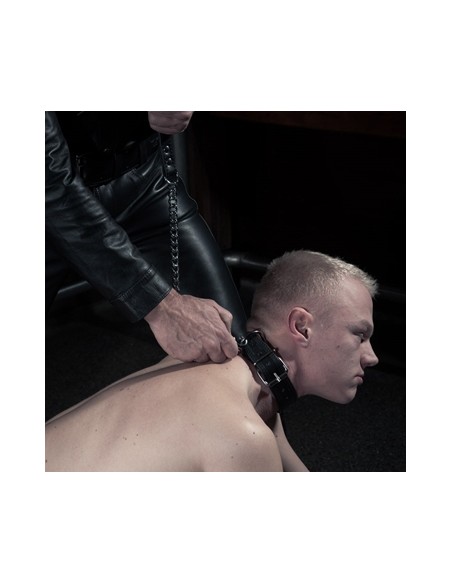 Laisse Dog avec Chaîne de 45cm