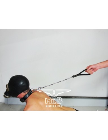 Laisse Dog avec Chaîne de 45cm