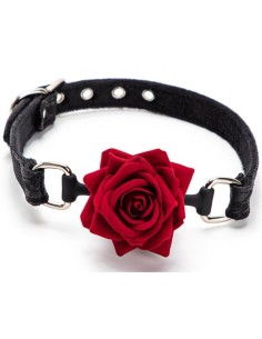 Baillon Boule avec Rose Bud Gag Noir