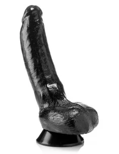 HELMUT 23 x 6.5 cm