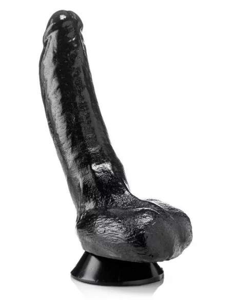 HELMUT 23 x 6.5 cm HELMUT 23 x 6.5 cm