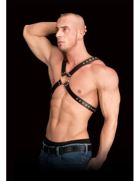 Harnais Adonis Forme X