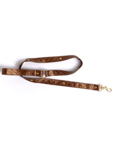 Collier et laisse Darling Pet Bronze 1m