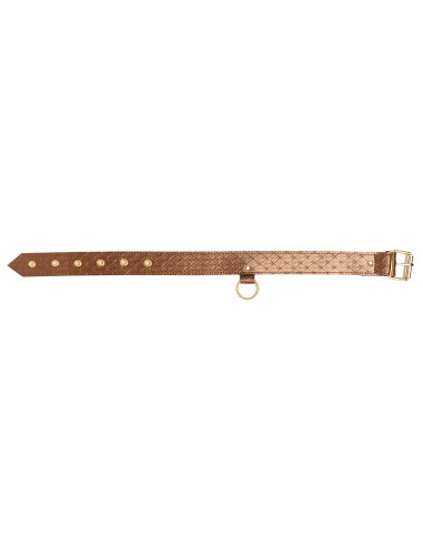 Collier et laisse Darling Pet Bronze 1m