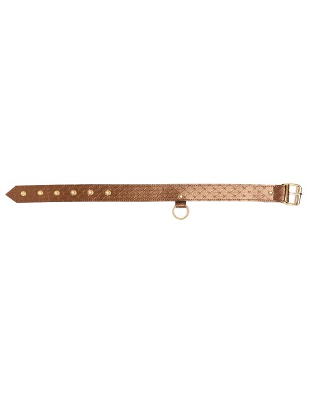 Collier et laisse Darling Pet Bronze 1m Collier et laisse Darling Pet Bronze 1m