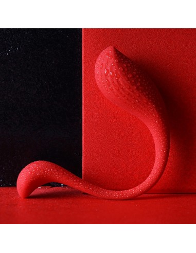 Stimulateur Oeuf Vibrant Connecté Phoenix Neo 8 x 3.3 cm