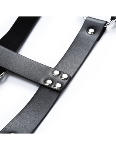 Harnais CHEST BELT Noir