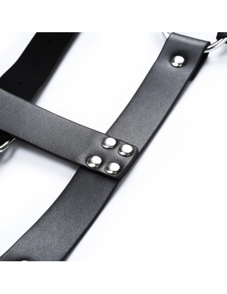 Harnais CHEST BELT Noir Harnais CHEST BELT Noir