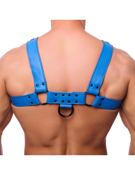 Harnais en cuir Snap Bleu Harnais en cuir Snap Bleu