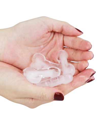 Moule à glaçons pénis x8