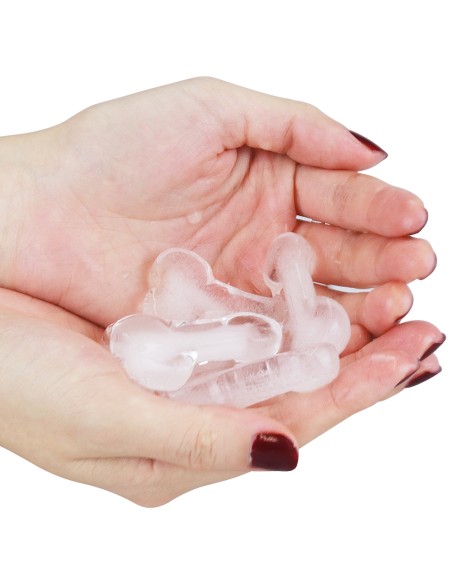 Moule à glaçons pénis x8