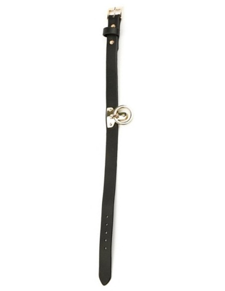 Collier et Laisse Sclave Noirs Collier et Laisse Sclave Noirs