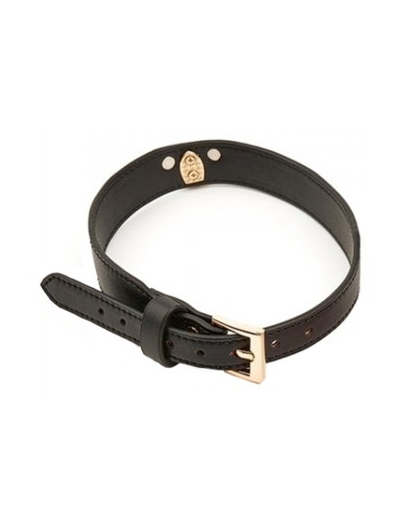 Collier-Laisse Master Me Noir Collier-Laisse Master Me Noir