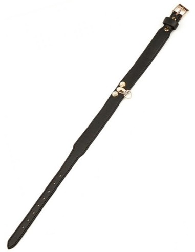 Collier-Laisse Master Me Noir
