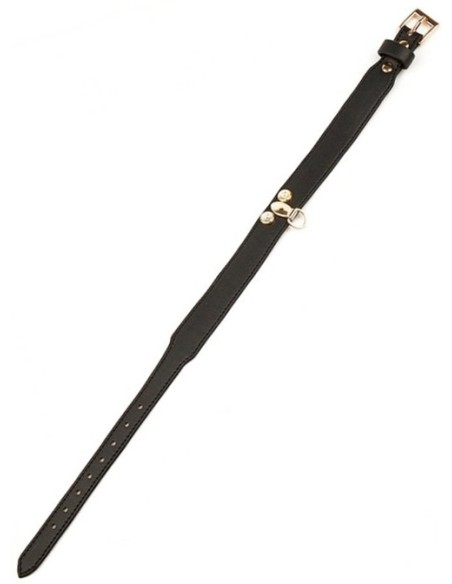 Collier-Laisse Master Me Noir Collier-Laisse Master Me Noir