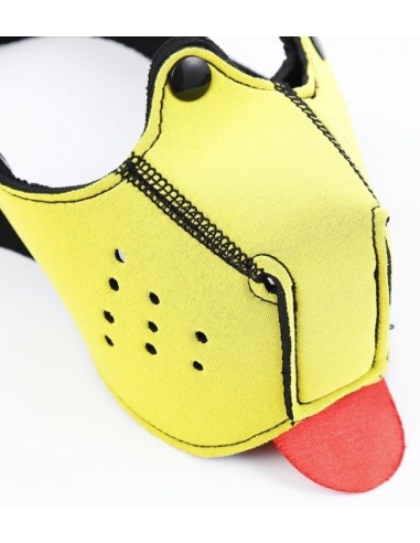 Museau + Langue Néoprène Puppy Jaune