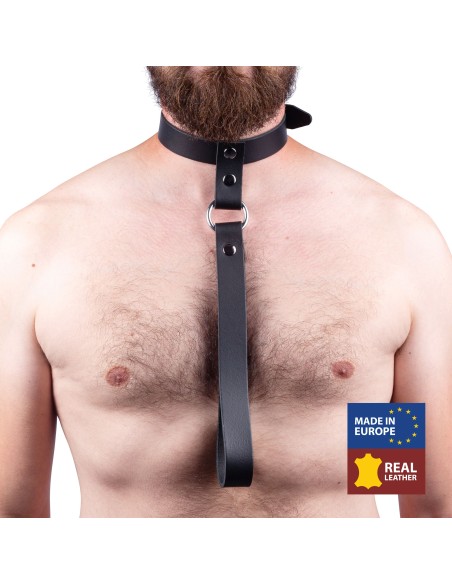Collier en cuir avec Laisse courte Collier en cuir avec Laisse courte