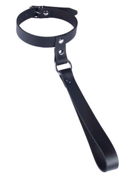 Collier en cuir avec Laisse courte Collier en cuir avec Laisse courte