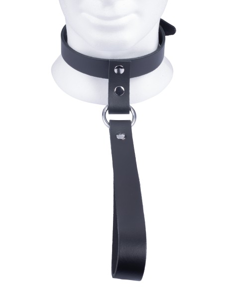Collier en cuir avec Laisse courte Collier en cuir avec Laisse courte