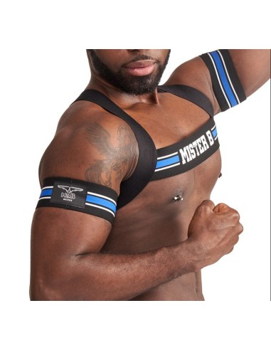 Brassards Biceps Urban Club Bleu x2