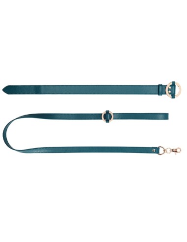 Collier-Laisse Halo Col Bleu