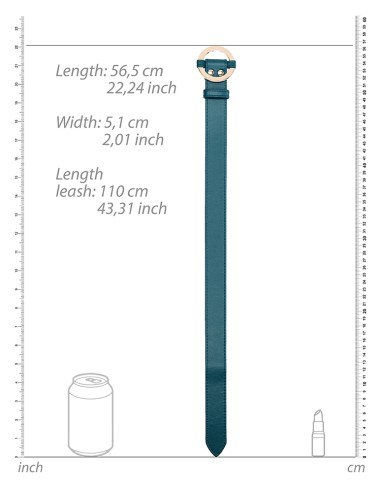 Collier-Laisse Halo Col Bleu