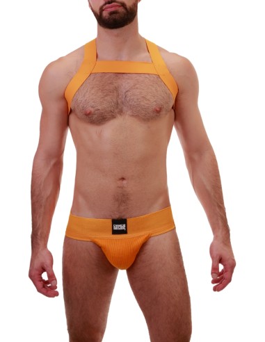 Harnais élastique MATT Jaune