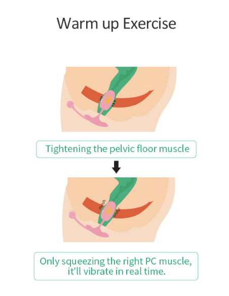 Oeuf vaginal connecté Kegel Coach 6 x 3cm
