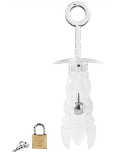 Plug de chasteté anale Expand Lock 13 x 5cm