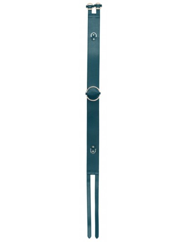 Ceinture Restraint Belt Bleue