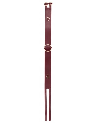 Ceinture Restraint Belt Rouge
