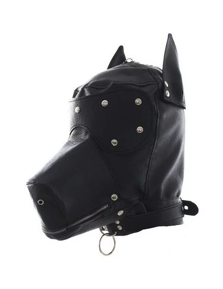 Cagoule Tête de Chien Cagoule Tête de Chien