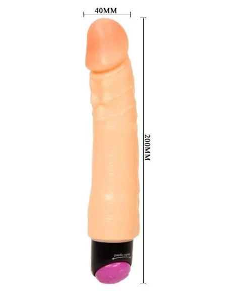Gode vibrant Vibe Baile 20 x 4cm Gode vibrant Vibe Baile 20 x 4cm