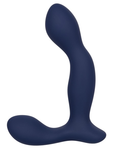 Stimulateur de prostate Expert Probe Viceroy 10 x 2.5cm