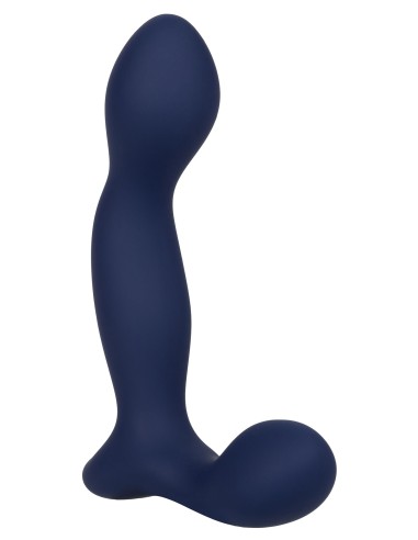 Stimulateur de prostate Expert Probe Viceroy 10 x 2.5cm