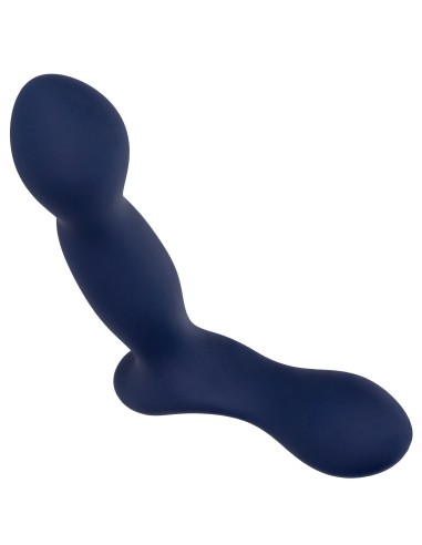 Stimulateur de prostate Expert Probe Viceroy 10 x 2.5cm