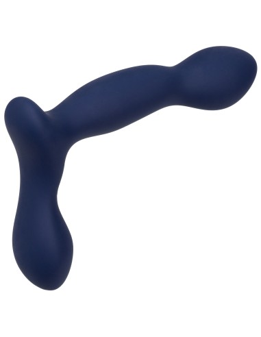 Stimulateur de prostate Expert Probe Viceroy 10 x 2.5cm