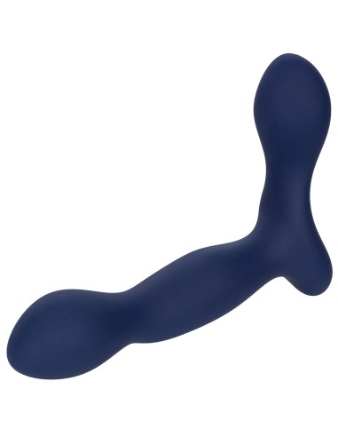 Stimulateur de prostate Expert Probe Viceroy 10 x 2.5cm