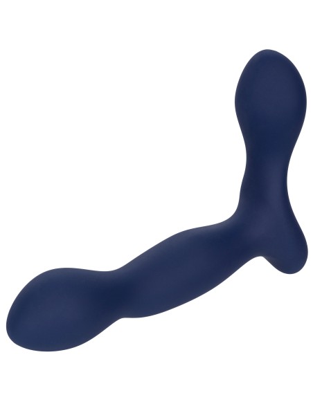 Stimulateur de prostate Expert Probe Viceroy 10 x 2.5cm